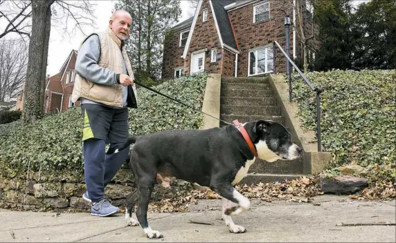  ??  ?? Tom McMullin, 71, of Edgewood walks Roscoe, his pit bull-terrier mix, three times a day.