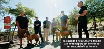  ??  ?? In episode 4 help Cesar ’n familie van noodhelper­s om beheer oor hul trop pitbulls te herwin.