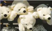  ?? DREAMSTIME ?? There are services that will restore things like stuffed teddy bears.