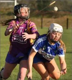  ??  ?? Eleanor Hammel wins the ball from Fianna Byrne of Laois.