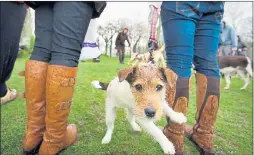  ??  ?? WALKIES: Haddo House hostsa charity event for dog lovers on Saturday. Picture Nick Ponty