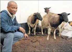  ?? PHOTOGRAPH: EUGENE COETZEE ?? LUCKY ONES: Warrant
Officer Johan Prince
with the three Dorper sheep which
were recovered by
the stock theft unit in KwaNobuhle followed by the arrest of
two suspected
thieves. Rampant stock theft
on the outskirts of the metro
has seen...