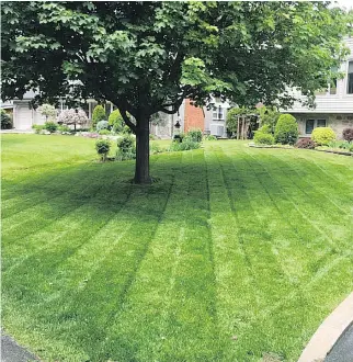  ?? PHOTOS (2): COURTESY OF DLC GREENTEAM ?? Mowing a lush lawn can result in eye-catching patterns like this.