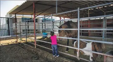 ?? Gina Ferazzi Los Angeles Times ?? ARIANNA DIAZ, 3, pets her family’s horses in their Fontana backyard, which sits next to a giant warehouse. Such facilities have brought jobs to a place where residents have often struggled with high unemployme­nt.