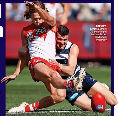  ?? ?? TOP CAT: Geelong’s Mark O’Connor (right) tackles James Rowbottom yesterday