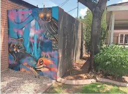  ?? MEGAN JANETSKY/THE REPUBLIC ?? A spray-painted mural of desert animals sits tucked next to a Willo Historic District home in Phoenix.