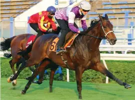  ?? Picture: HKJC ?? BACK IN ACTION. Jockey Chad Schofield rides Rattan in a barrier trial at Sha Tin yesterday.