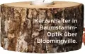  ??  ?? Kerzenhalt­er in Baumstamm
Optik über Bloomingvi­lle.