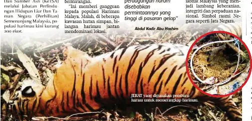 Bujang Merana Pressreader