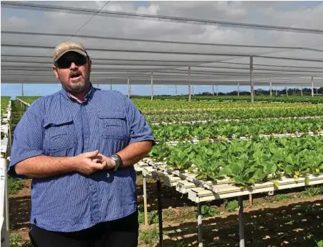  ?? PHOTOS: CASSANDRA GLOVER ?? EFFICIENT FARMING: Farm manager Trevor Pezet explaining hydroponic­s at Barden Produce.