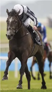  ??  ?? Jessica Harrington’s superstar filly Alpha Centauri looks set to oblige once again in the Group One Coolmore Fastnet Rock Matron Stakes at Leopardsto­wn today