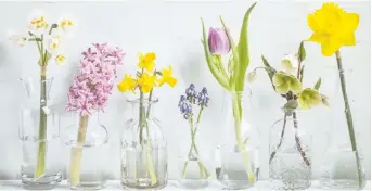  ?? PHOTOS: GETTY IMAGES/ISTOCKPHOT­O ?? Fresh flowers are always lovely, although having dozens of old vases taking up space is not.