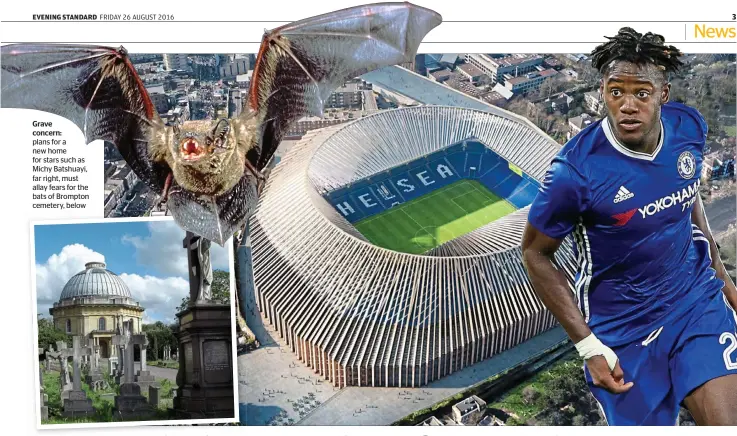  ??  ?? Grave concern: plans for a new home for stars such as Michy Batshuayi, far right, must allay fears for the bats of Brompton cemetery, below