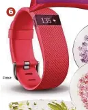  ?? Fitbit ??