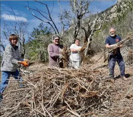  ??  ?? Les Amis de l’olive pugétois ont retapé  hectares d’oliveraies, grâce aux  participat­ions de bénévoles et  journées de chantiers depuis .