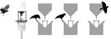  ??  ?? Combinatio­n of photos of a machine to autonomous­ly train crows to pick up cigarette butts from the streets and exchange it for peanuts.