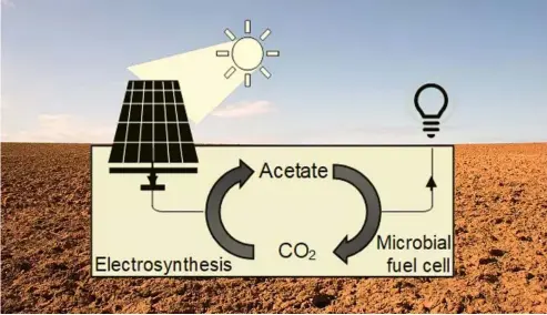  ?? Michael Harbottle/Getty Images ?? The bacteria convert the electrical energy into a chemical called acetate.