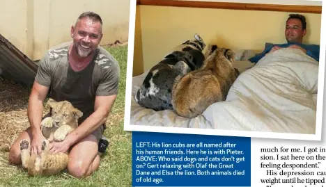  ??  ?? LEFT: His lion cubs are all named after his human friends. Here he is with Pieter. ABOVE: Who said dogs and cats don’t get on? Gert relaxing with Olaf the Great Dane and Elsa the lion. Both animals died of old age.