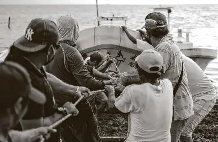  ?? Victor Ruiz Garcia / Associated Press ?? Fishermen pull in a boat before the arrival of Hurricane Delta in Puerto Juárez, Mexico. The storm rapidly intensifie­d into a potentiall­y catastroph­ic Category 4 hurricane Tuesday on a course to hammer southeaste­rn Mexico and then to the U.S.