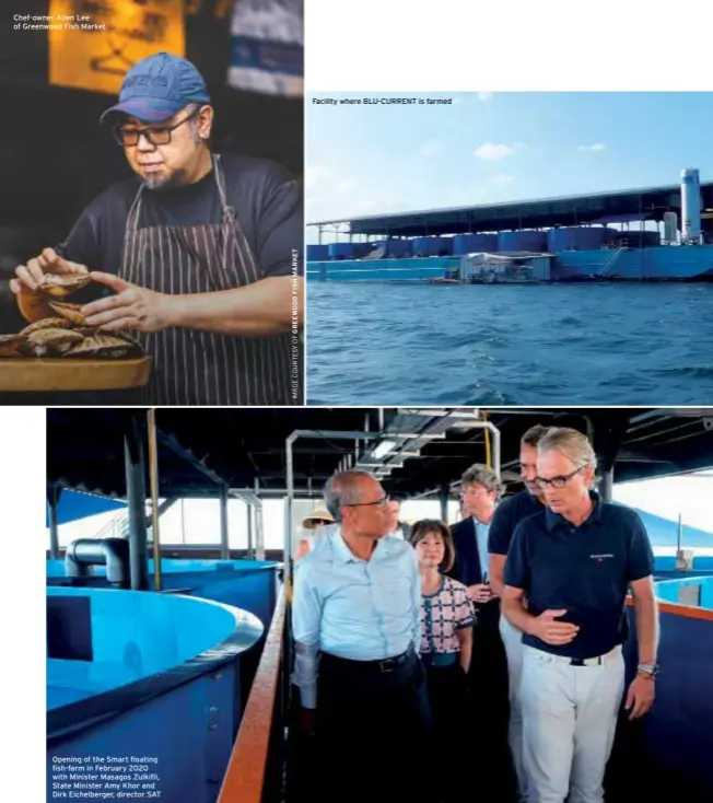  ??  ?? Chef-owner Allen Lee of Greenwood Fish Market
Opening of the Smart floating fish-farm in February 2020 with Minister Masagos Zulkifli, State Minister Amy Khor and Dirk Eichelberg­er, director SAT
Facility where BLU-CURRENT is farmed