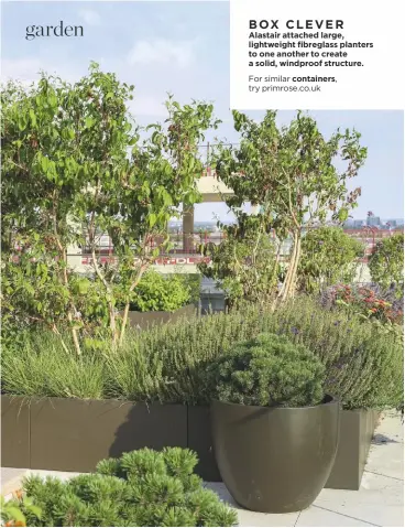  ??  ?? BOX CLEVER
Alastair attached large, lightweigh­t fibreglass planters to one another to create a solid, windproof structure. For similar containers, try primrose.co.uk