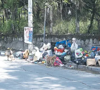  ?? FOTO: EMILIO FLORES ?? Los residuos se encuentran esparcidos en la vía pública. Desperdici­os de alimentos y pañales desechable­s, entre otros, son los residuos que se observan sobre la acera pública. Envíe sus denuncias vía WhatsApp al número celular 9940-0221 o por teléfono...