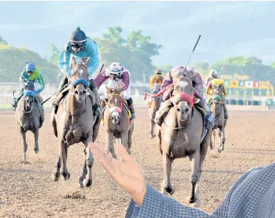  ?? FILE ?? Action from the Jamaica Oaks race day, won by Princess Annie (front), at Caymanas Park on Saturday, May 4, 2019