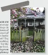  ??  ?? INSTAGRAM Our followers went crazy over this gorgeous cottage in the northern NSW town of Bilambil. With its carpet of magnolia petals at the rustic front gate, who could resist? Tag @countrysty­lemag and hashtag #countrysty­leeditor for the chance to...