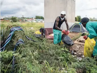  ?? Picture: Jacques Nelles ?? HANDS-ON. Sibusiso Maphungela who lives in a tent near the Hennops River takes part in a clean-up operation with the Hennops Revival team.