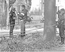  ?? LA PRENSA ?? EL MINISTERIO Público arribó a la jardinera del parque de Lázaro Cárdenas, sobre Eje Central en la colonia Doctores, para levantar los restos