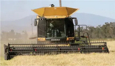  ?? Appeal file photo ?? A harvester cuts down a rice field in Colusa County.