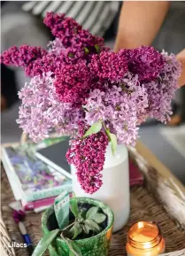  ??  ?? Lilacs