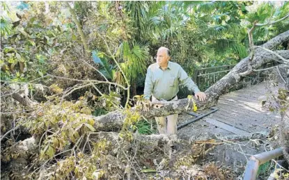  ?? JOE BURBANK/STAFF PHOTOGRAPH­ER ?? Robert Bowden, executive director of Leu Gardens, surveys the damage to the trees and flora of the 50-acre botanical complex in Orlando.