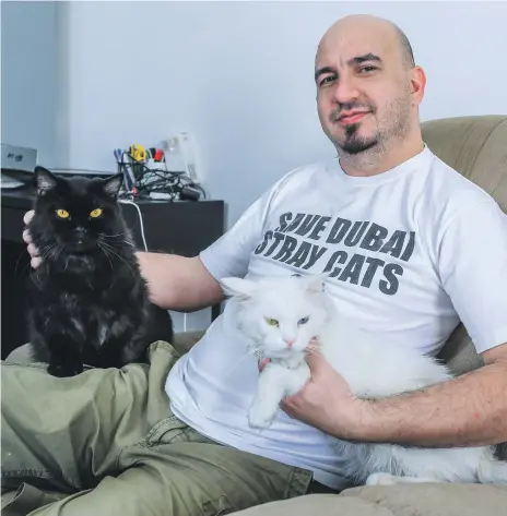  ?? Victor Besa / The National ?? Fawaz Kanaan with his cats Coala, left, and Mercato. He also fosters other cats in his home