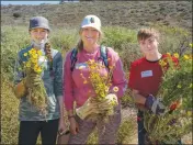  ?? COURTESY OF PALOS VERDES PENINSULA LAND CONSERVANC­Y ?? The Palos Verdes Peninsula Land Conservanc­y is asking volunteers to help care for its native garden April 20. The gathering will include nature walks and a raffle.