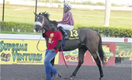  ??  ?? Groom Steve Williams leads Abigail Able and Graydon onto the track before a race at Caymanas Park