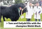  ??  ?? > Tom and Dafydd Elis with the champion Welsh Black