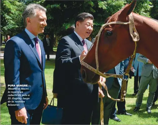  ??  ?? PURA SANGRE. Mauricio Macri le regaló un caballo de polo a Xi Jinping luego de la reunión bilateral.