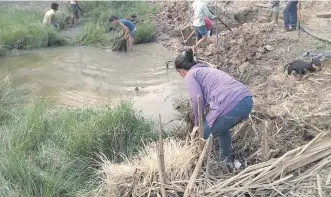  ?? ?? Pobladores en María Auxiliador­a buscan aprovechar lo poco que queda de agua en el tajamar.