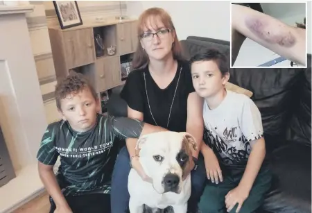  ??  ?? Janis Taylor with sons Jackson, left, and Maxwell Lamb and their dog Bullseye. Inset, her sister Lynne after the attack.