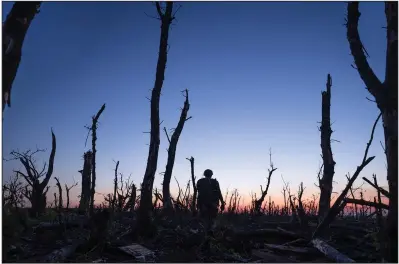  ?? (AP/Mstyslav Chernov) ?? A Ukrainian serviceman walks through a charred forest at the frontline a few kilometers from Andriivka in the Donetsk region of Ukraine on Sept. 16.