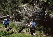  ?? Brian A. Pounds/Hearst Connecticu­t Media file photo ?? Hikers cross a section of Sleeping Giant State Park decimated by a 2018 tornado in the then recently re-opened park in Hamden on June 23, 2019.