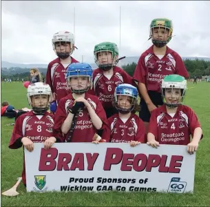  ??  ?? SUPER STRATFORD-GRANGECON: Statford-Grangecon’s Under-7 hurlers in Ballinakil­l.