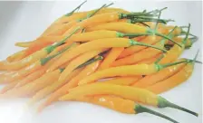  ??  ?? NEW HOT PANGSIGANG – This is Zesy, a new hot pepper with creamy yellow fruit that turns red CANARY HOT PEPPER – This is green when not ripe but burns canary when ripe. It is very hot. yellow when ripe. It is very hot.
