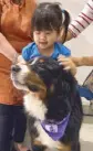  ??  ?? A little girl gets a piggyback ride from Philippine Animal Welfare Society’s (PAWS) Dr. dog Rusty