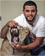 ??  ?? Ahsraf El-Helw, a big cat trainer, poses with Joumana, a 5-year-old African lioness, at his home.