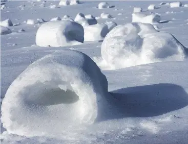  ?? THE DERRICK/ JERRY SOWDEN / THE ASSOCIATED PRESS ?? Snow rollers are like fine glassware and they normally don’t survive much beyond hours.