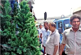  ??  ?? Christmas tree sellers doubt this year would be profitable