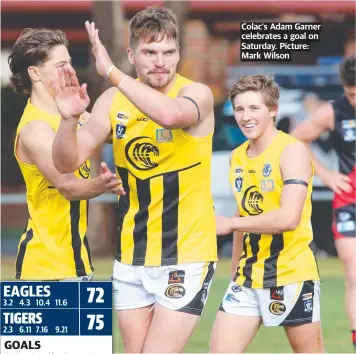  ?? Picture: Mark Wilson ?? Colac’s Adam Garner celebrates a goal on Saturday.