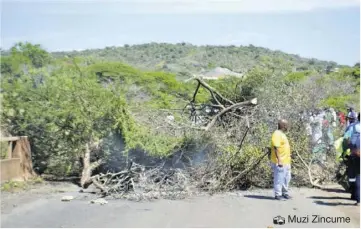  ?? Muzi Zincume ?? Ubuvalwe nangamahla­hla umgwaqo ngesikhath­i kubhikisha osomatekis­i